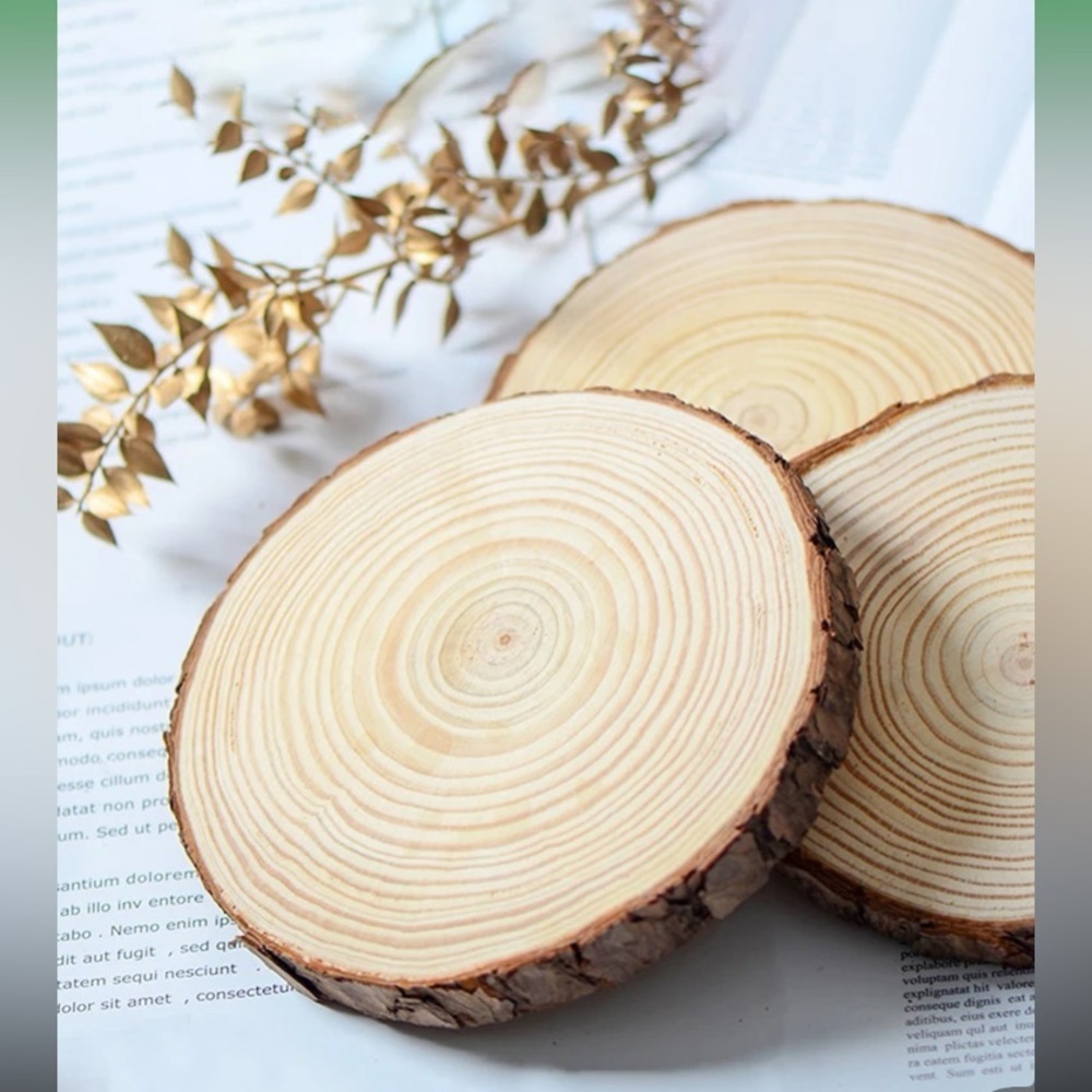 1set/6pcs 10-12cm Round Pine Wood Slices For Diy Crafts - Picture 6 of 16